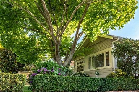 Photo of property in 113 Rolleston Street, Thames, 3500