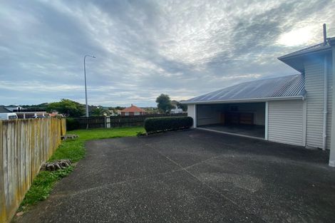 Photo of property in 18 Jasper Avenue, Mount Roskill, Auckland, 1041