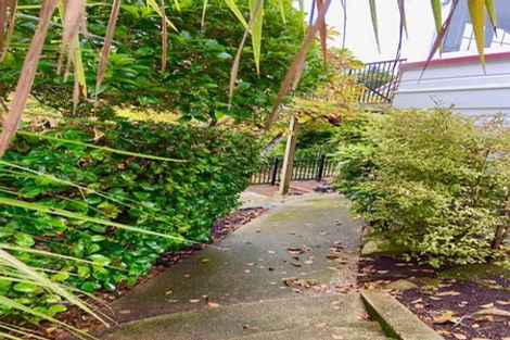 Photo of property in 22 Selkirk Street, Roslyn, Dunedin, 9010