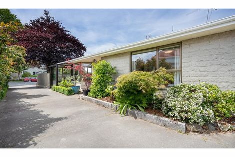 Photo of property in 1/11 Young Street, Somerfield, Christchurch, 8024