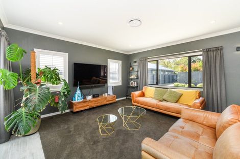 Photo of property in 14a Colombo Street, Hokowhitu, Palmerston North, 4410