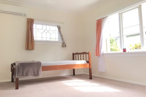 Photo of property in 45 Pacific Street, Roslyn, Dunedin, 9010