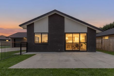 Photo of property in 79 Hinemoa Street, Levin, 5510