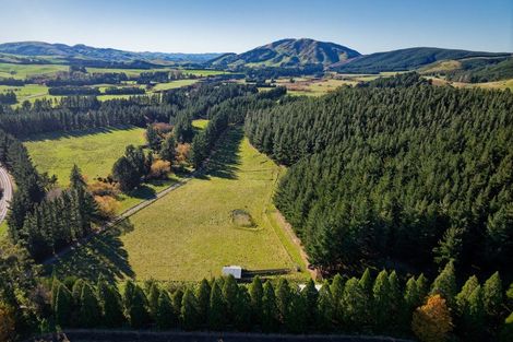 Photo of property in 8p Davaar Road, Greta Valley, 7387