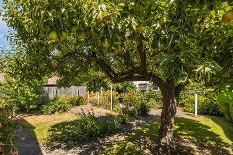 Photo of property in 16 Gibbon Street, Sydenham, Christchurch, 8023