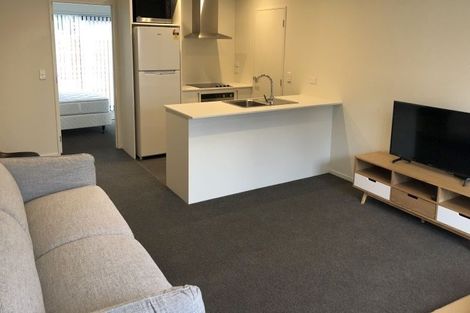 Photo of property in 1/17 Warwick Street, Richmond, Christchurch, 8013