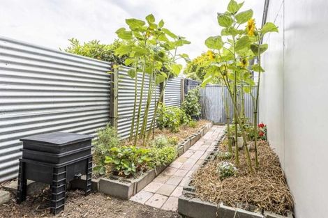 Photo of property in 18 Caroline Drive, Feilding, 4702