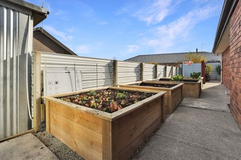 Photo of property in 32 Thomson Street, Tinwald, Ashburton, 7700