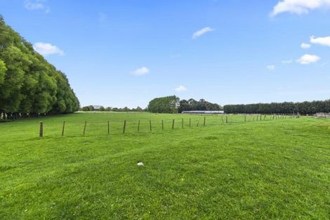 Photo of property in 203 Hoeka Road, Matangi, Hamilton, 3284