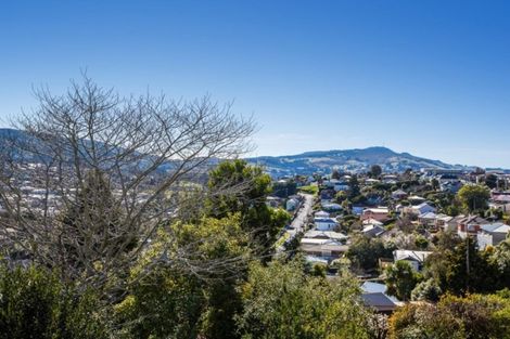 Photo of property in 6 Ann Street, Roslyn, Dunedin, 9010