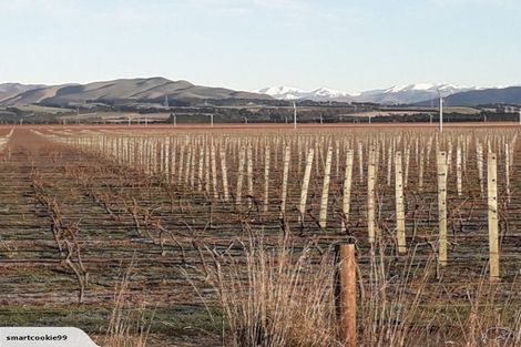 Photo of property in 9 Ferguson Avenue, Waipara, 7483