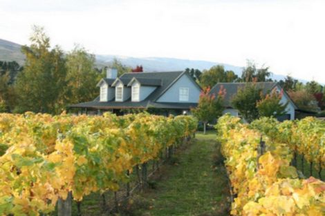 Photo of property in 141 Pearson Road, Cromwell, 9384