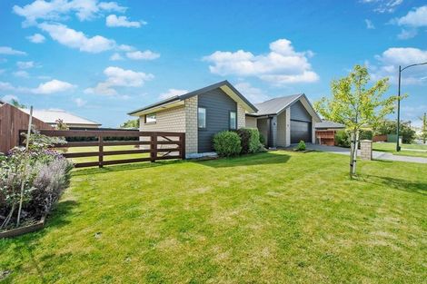 Photo of property in 31 Carston Street, Leeston, 7632