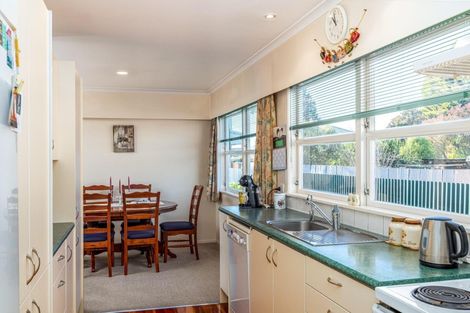 Photo of property in 133 Cockburn Street, Kuripuni, Masterton, 5810