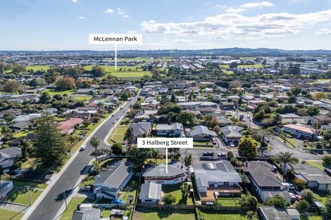 Photo of property in 3 Halberg Street, Papakura, 2110