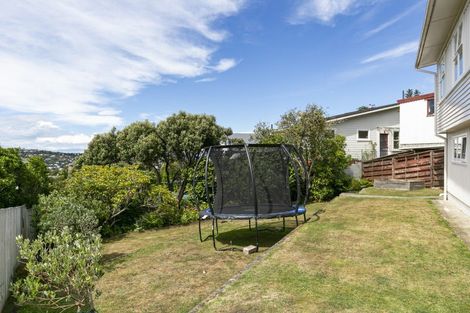 Photo of property in 41 Priscilla Crescent, Kingston, Wellington, 6021