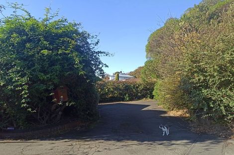 Photo of property in 33 Belmont Lane, Musselburgh, Dunedin, 9013