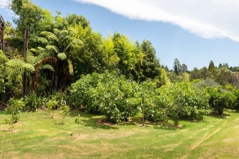 Photo of property in 3 Te Karaka Drive, Te Puna, Whakamarama, 3172