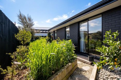 Photo of property in 18 Merino Street, Marshland, Christchurch, 8083