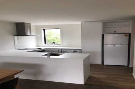 Photo of property in 118 Salisbury Street, Ashhurst, 4810