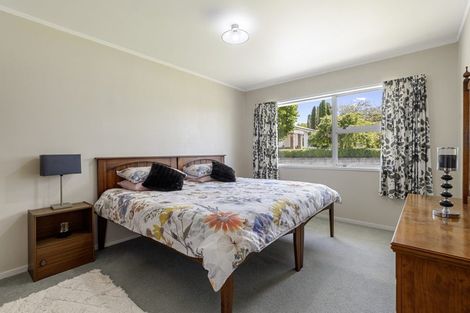 Photo of property in 36 Twentythird Avenue, Gate Pa, Tauranga, 3112