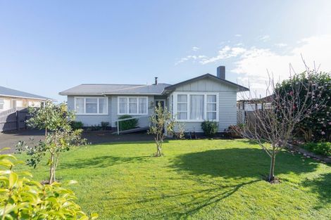 Photo of property in 55 Tiro Tiro Road, Levin, 5510