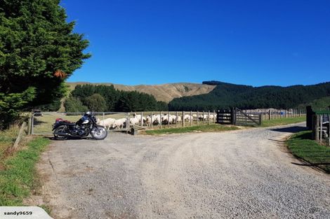 Photo of property in 210 Potts Road, Koputaroa, Levin, 5571