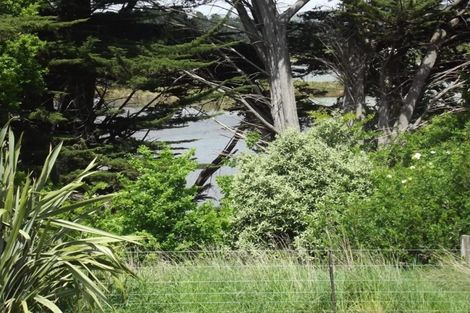 Photo of property in 51 Nairn Street, Kaikorai, Dunedin, 9010