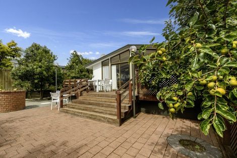 Photo of property in 62 Jonathon Street, Brookfield, Tauranga, 3110