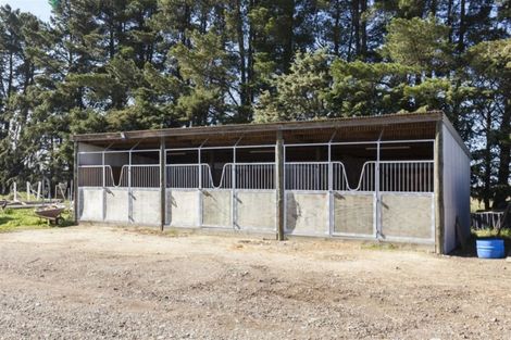 Photo of property in 212 Isaac Road, Eyrewell, Rangiora, 7476