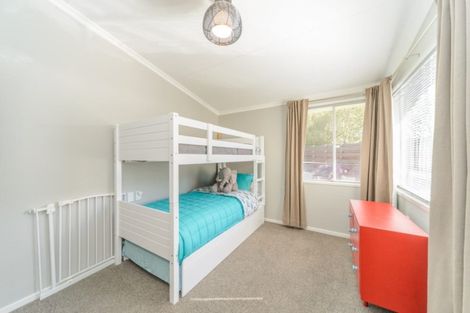 Photo of property in 15 Opawa Place, Terrace End, Palmerston North, 4410