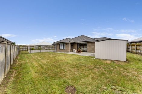 Photo of property in 13 Barry Curtis Place, Levin, 5510
