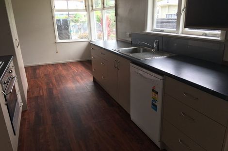 Photo of property in 49 Fitzroy Avenue, Fitzroy, Hamilton, 3206