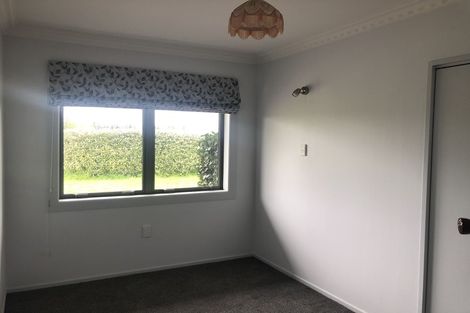 Photo of property in 214 Peacockes Road, Fitzroy, Hamilton, 3282