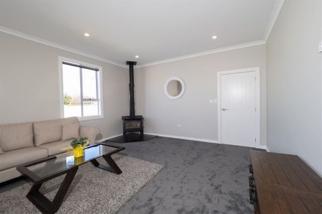 Photo of property in 12 Eton Street, Hampstead, Ashburton, 7700