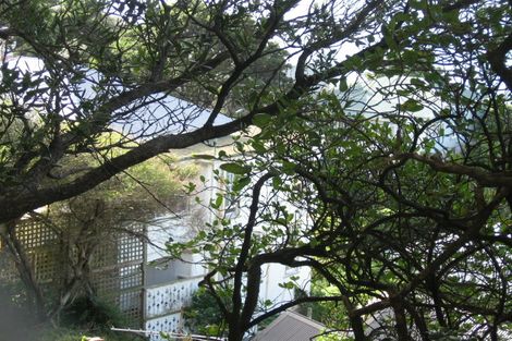 Photo of property in 41 Maida Vale Road, Roseneath, Wellington, 6011