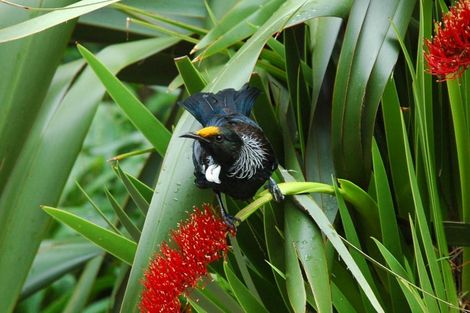 Photo of property in 203 Houghton Bay Road, Houghton Bay, Wellington, 6023