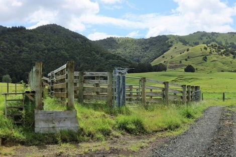Photo of property in 1008 Tangowahine Valley Road, Tangowahine, Dargaville, 0372