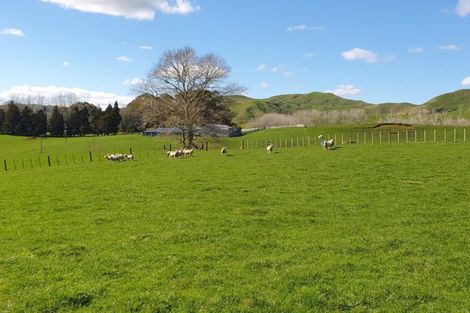 Photo of property in 777 Waitetuna Valley Road, Waitetuna, Raglan, 3295