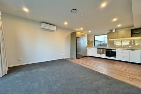 Photo of property in 1/474 Barrington Street, Addington, Christchurch, 8024