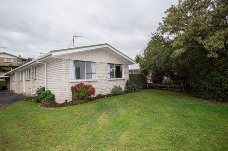 Photo of property in 24a Hazelwood Avenue, Dinsdale, Hamilton, 3204