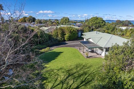 Photo of property in 51 Shelly Beach Road, Shelly Beach, Helensville, 0874