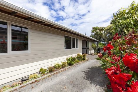 Photo of property in 91 Alexander Road, Raumati Beach, Paraparaumu, 5032