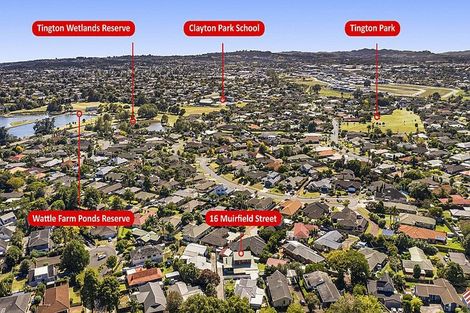 Photo of property in 16 Muirfield Street, Wattle Downs, Auckland, 2103