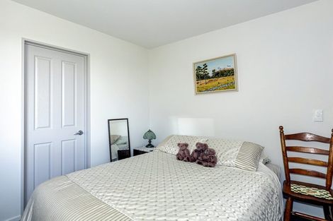 Photo of property in 20a Hewlings Street, Geraldine, 7930