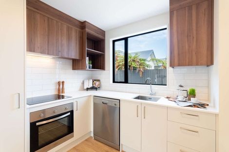 Photo of property in 16b Champion Street, Edgeware, Christchurch, 8013