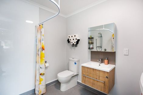 Photo of property in 11 Mccrae Place, Ashhurst, 4810