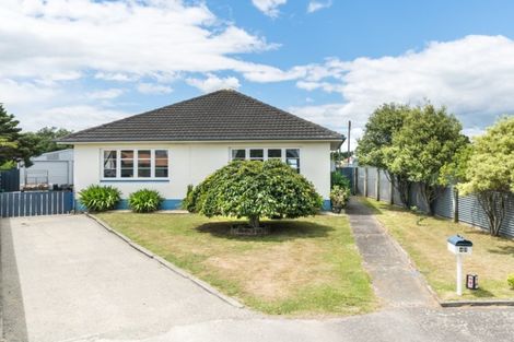 Photo of property in 43 Millar Street, Terrace End, Palmerston North, 4410