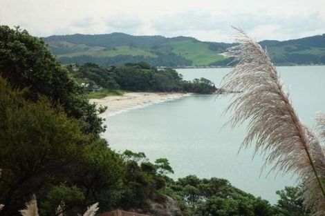 Photo of property in 1067 Purangi Road, Ferry Landing, Whitianga, 3591