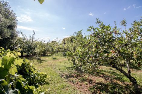 Photo of property in 7208 State Highway 26, Komata, Paeroa, 3674